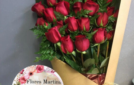 Flores Martina en Recoleta (44)
