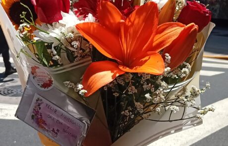 Flores Martina en Recoleta (56)